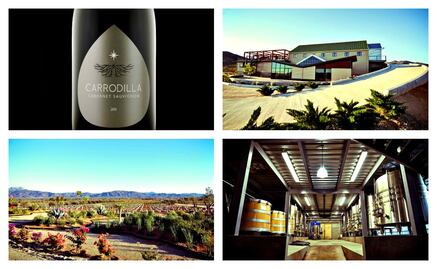 El vino mexicano también es sustentable