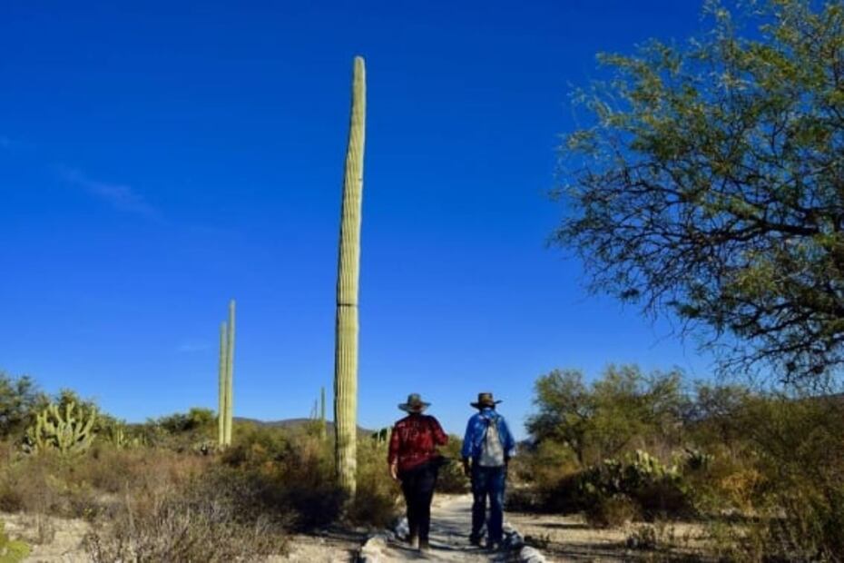 Puebla. Qué hacer en la Reserva de la Biósfera Tehuacán-Cuicatlán