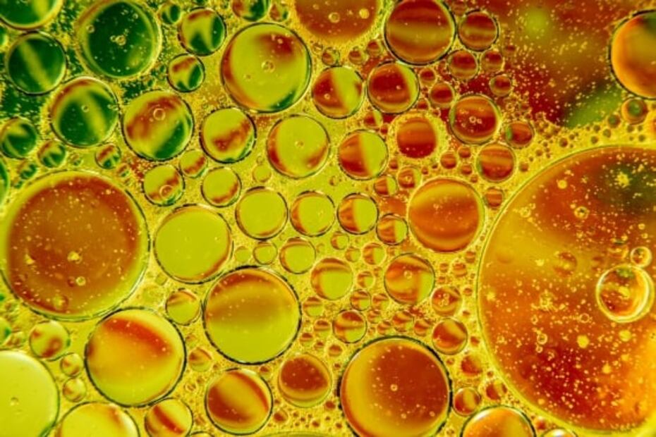 ¿Cuánto dura el aceite vegetal y por qué se hace rancio?