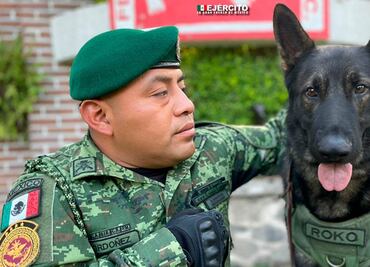 ¡Héroes! Reconocen a perros rescatistas de Sedena por valentía y lealtad