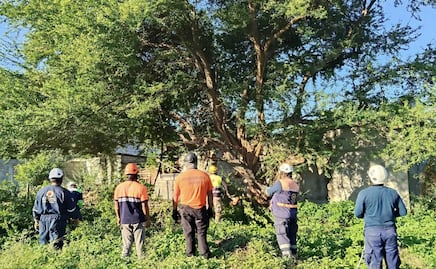 Pronostican fuertes vientos y bajas temperaturas por frente frío 19 en el Istmo de Oaxaca