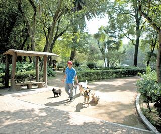 FGJ va por banda que roba mascotas