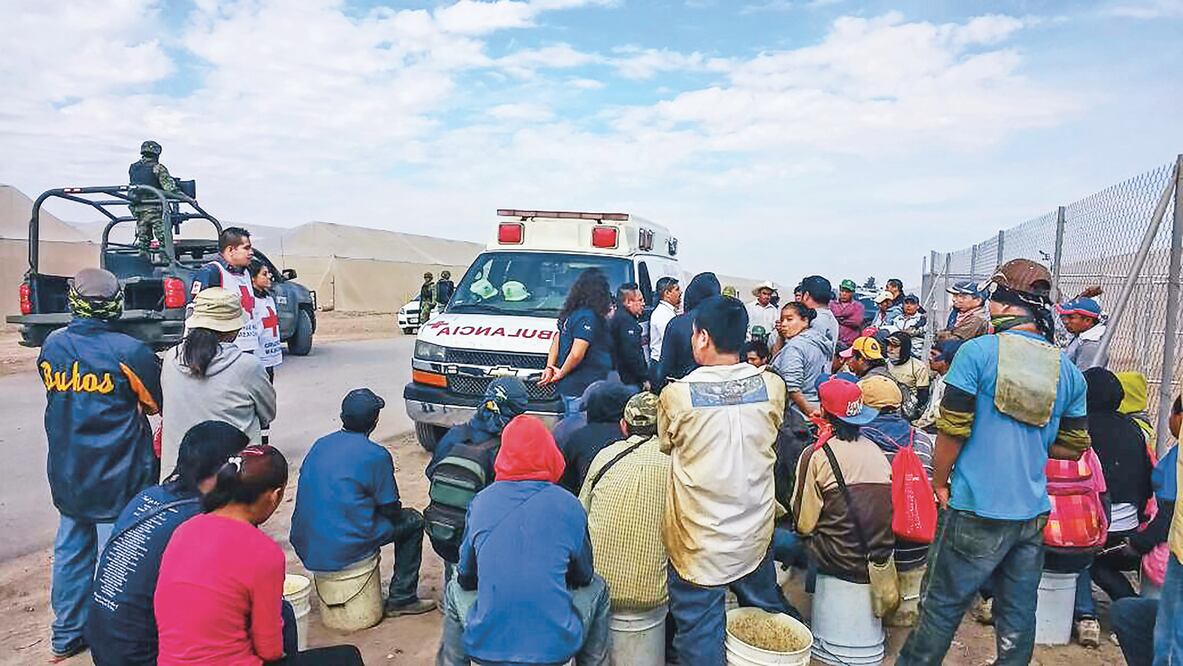 En un operativo en el rancho Nidia Edith, sobre la carretera antigua a San Pedro de las Colonias, fueron halladas las personas en el cultivo de jitomate (PGR)