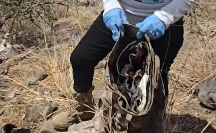 Colectivo de buscadoras en Sonora encuentran prendas con restos óseos; había casquillos de balas junto a los cuerpos