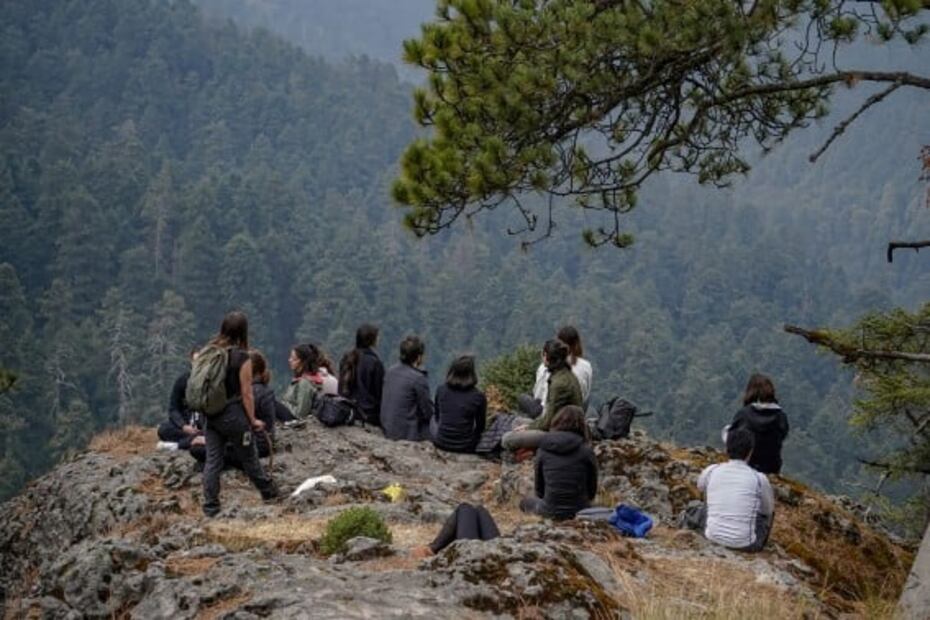 Lunada en el bosque para conectar con la naturaleza y calmar tu mente