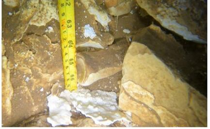 Descubren restos de perezoso gigante y caballos prehistóricos en cenote de Yucatán; permanecen desde la última glaciación