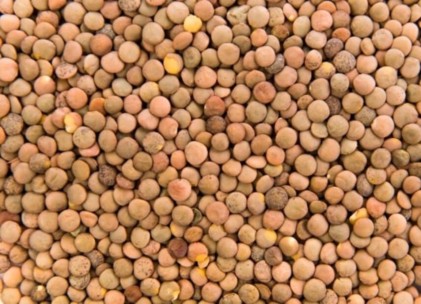 Día Mundial de las Legumbres: 10 que debes integrar a tu dieta diaria