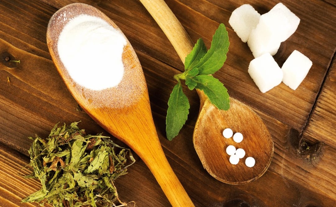 The stevia plant and its finished product - Photo: File Photo/EL UNIVERSAL