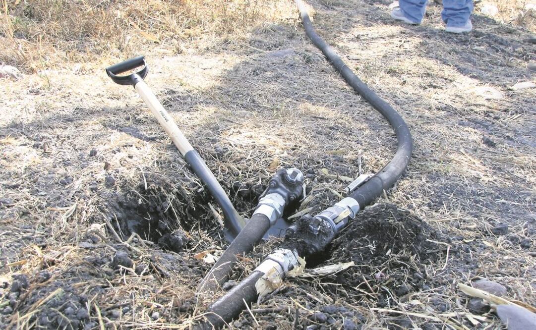 Foto: Archivo EL UNIVERSAL