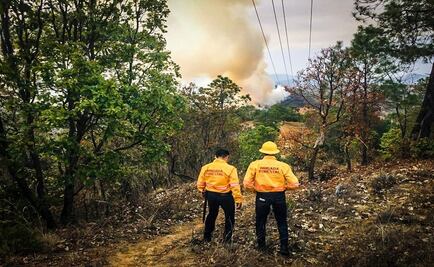 Van 183 incendios forestales en Oaxaca