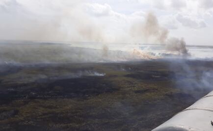 Incendios en Sian Ka'an afectan también a la fauna silvestre: Conanp