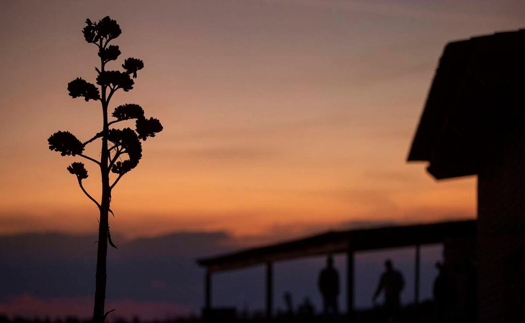 Guanajuato: territorio ancestral para destilar mezcal