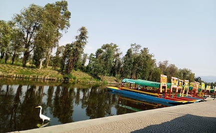 Las chinampas, la opción más sustentable para la alimentación chilanga