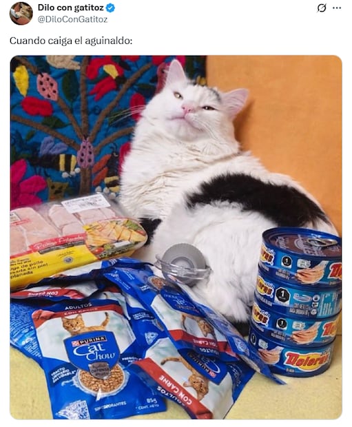 Memes de la espera por el aguinaldo en México. Foto: X