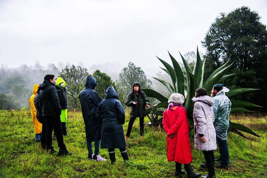 Foto: Canto del Bosque