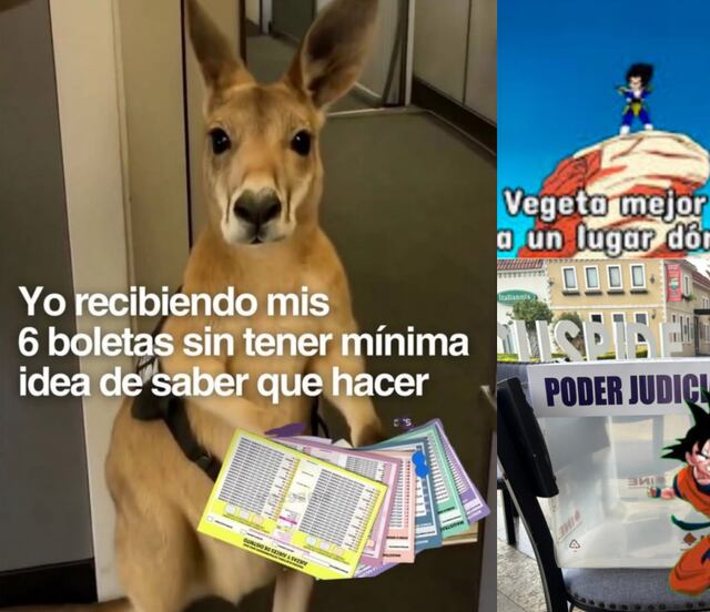 Memes y política se dan la mano; así reaccionaron usuarios al inicio de la elección judicial 2025