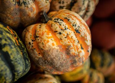 Esta es la alacena de otoño para mantenernos saludables