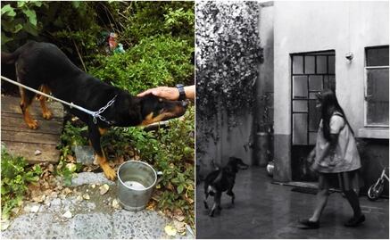 El Borras: from rags to riches after “Roma”