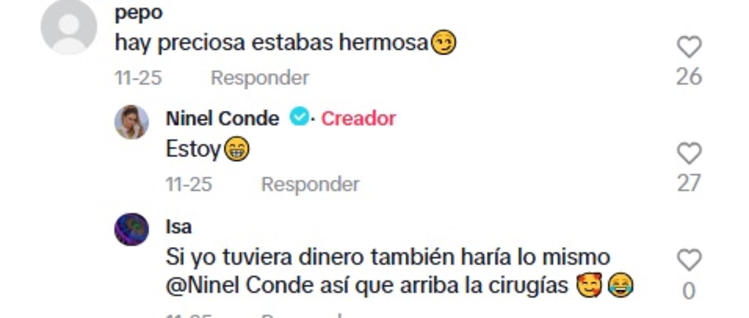 Ninel Conde se defiende de las críticas por los cambios en su rostro.