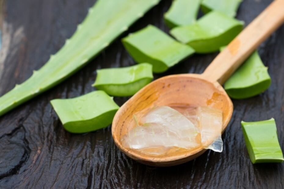 Propiedades del Aloe Vera