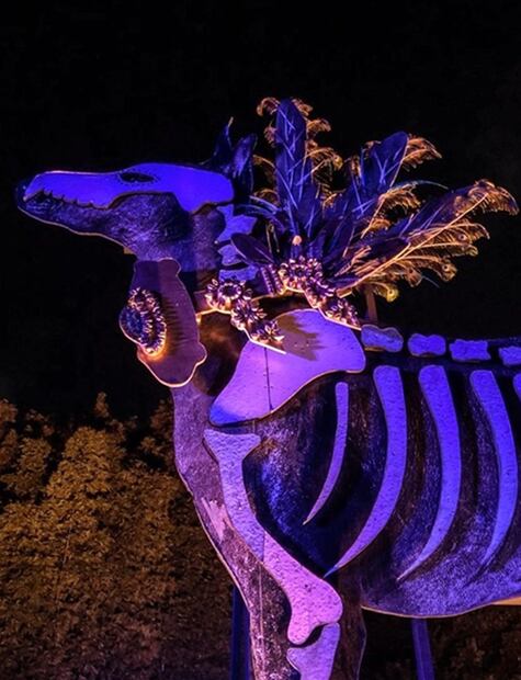 Tips para poder entrar a Celebrando la Eternidad, el recorrido por el Bosque de Chapultepec