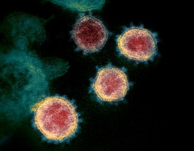 Pacientes asintomáticos, clave contra malaria y filariasis