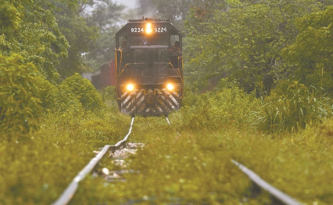 Foto: Archivo. El Universal