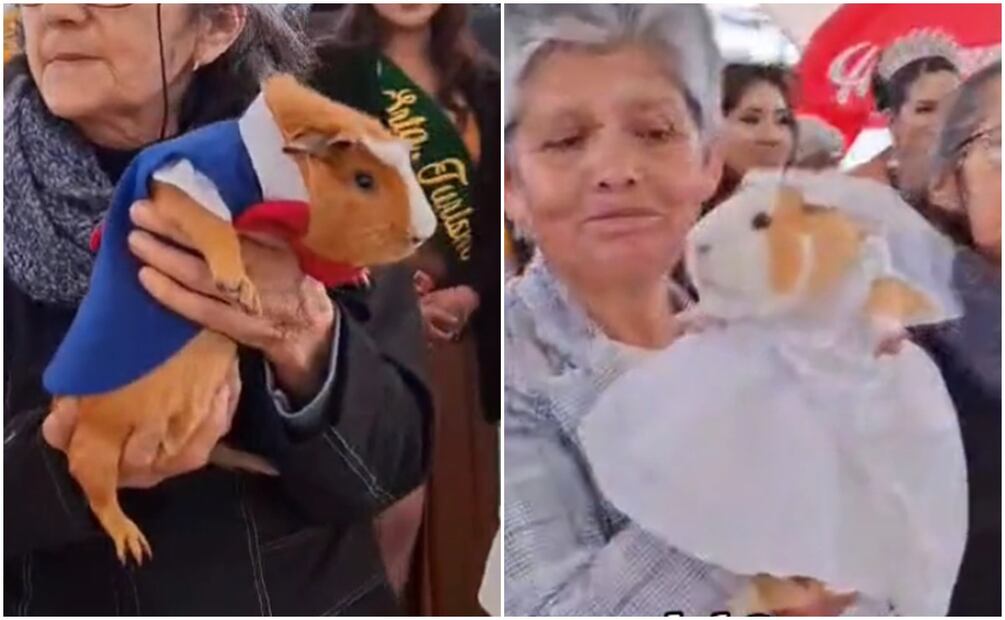 El video del concurso fue compartido por la usuaria @lizethortiz62 y ya superó los 29 millones de reproducciones. Fotos TikTok @lizethortiz62