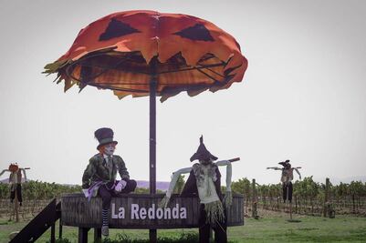 Hallowine: vino y Halloween en un viñedo de Querétaro