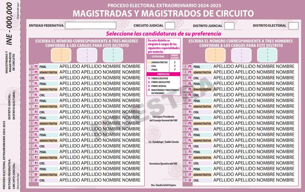 Boleta para Magistradas y magistrados de Circuito. Foto: Captura de pantalla