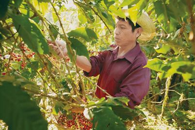 Rara enfermedad causada por un hongo