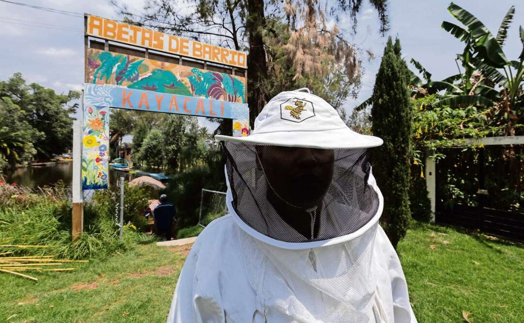 Los apicultores también promueven la conservación de los ecosistemas chinamperos dentro de la Ciudad. Foto: Osmar Alvarado/ EL UNIVERSAL / Gráfico