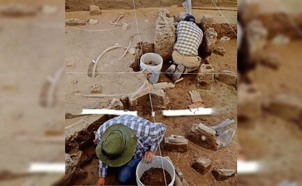 Critican desinterés en salvamento arqueológico