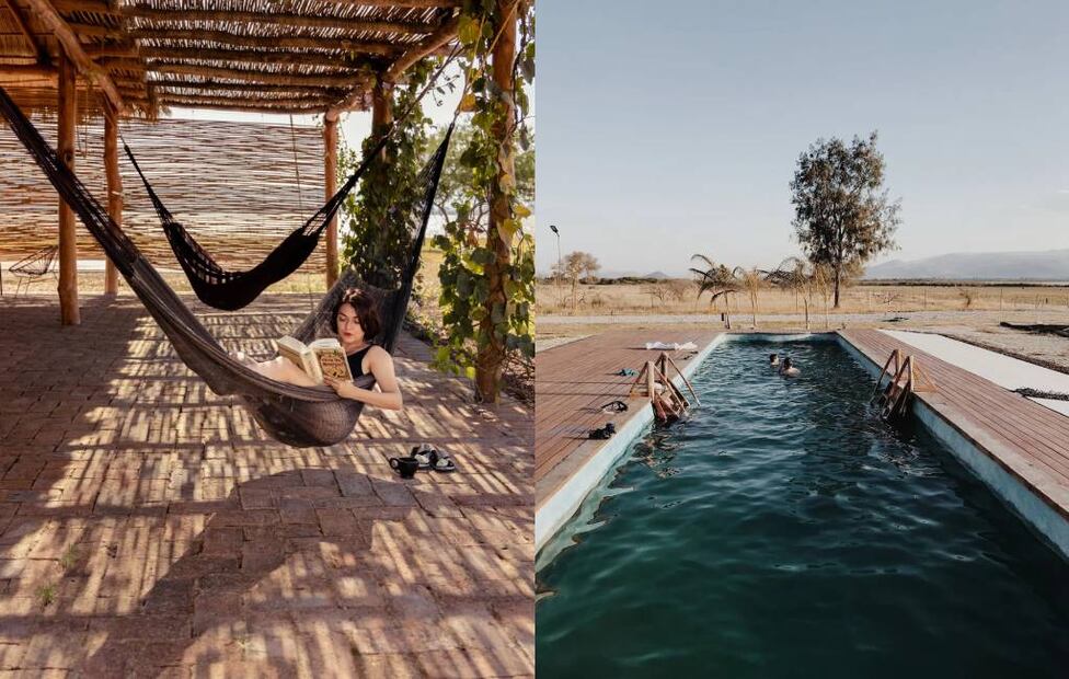 Fotos: Safa Farms