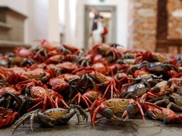 Drama de refugiados protagoniza exposición de Ai Weiwei en Italia