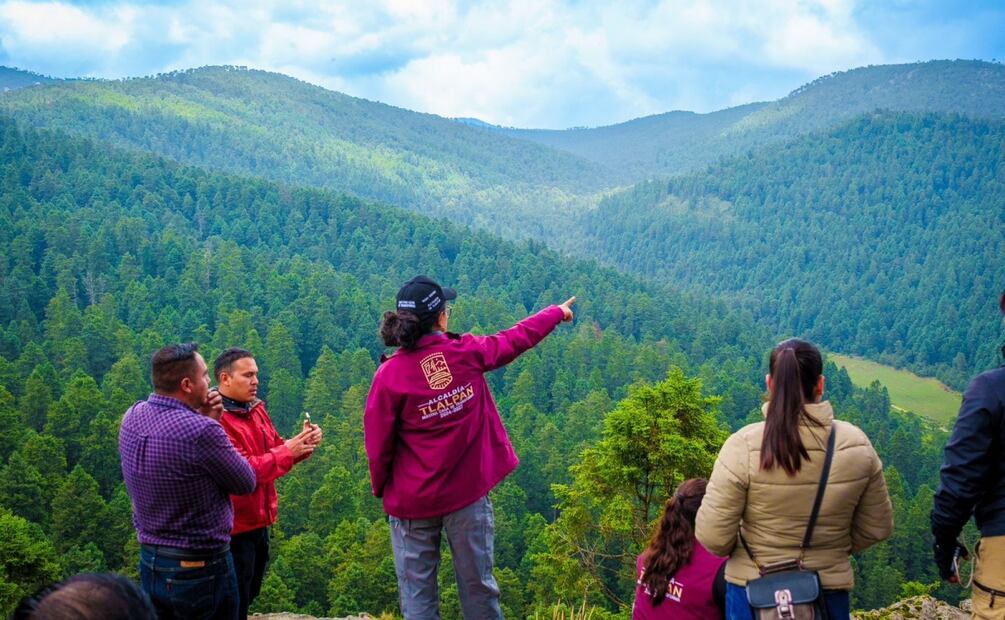 Inicia reforestación 2025 en Tlalpan; plantan 2 mil pinos en el Ejido Magdalena Petlacalco. Foto: Especial