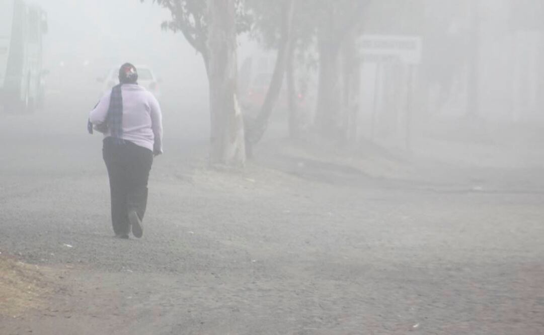 Foto: Archivo EL UNIVERSAL