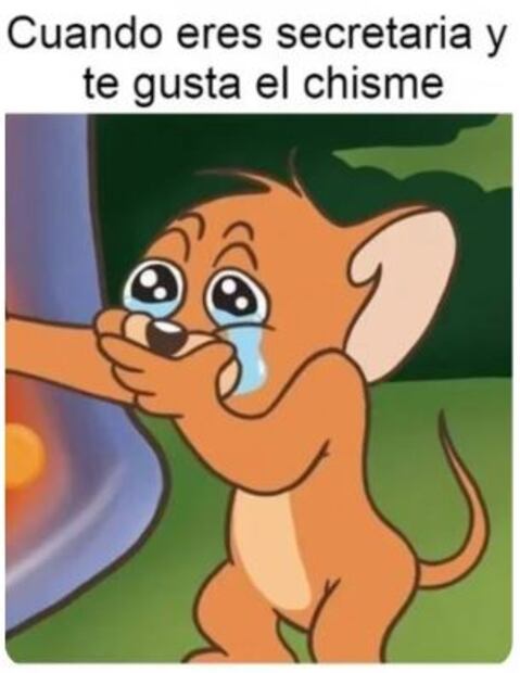 Memes Día de la Secretaria en México. Foto: Redes sociales