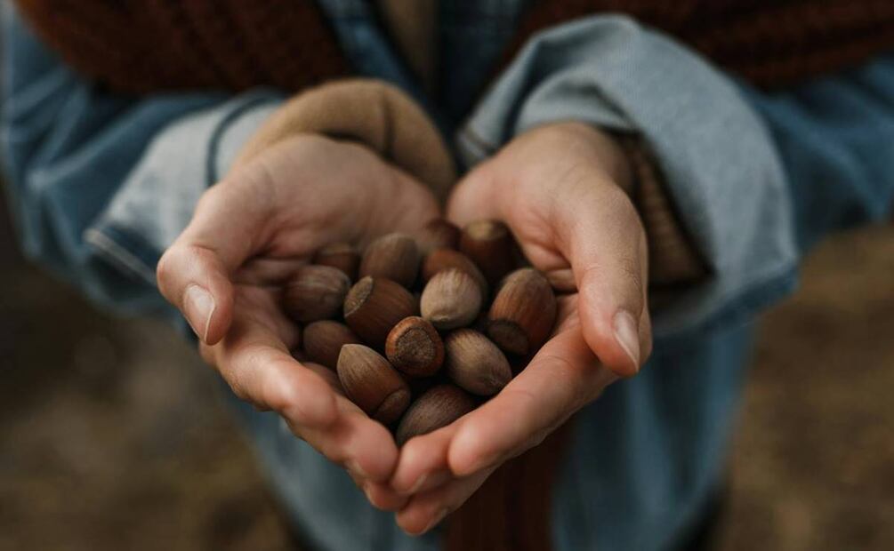 Beneficios de las avellanas. Foto: Pexels