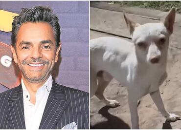 Eugenio Derbez rescata a un perrito, le busca hogar pero le piden que se quede con él