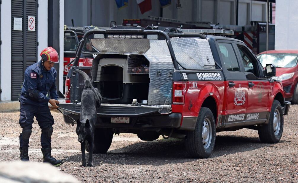 Donovan y Togo no solo son compañeros de trabajo, son también compañeros de vida, ya que viven juntos. Donovan es el único que puede interactuar con el perro rescatista. Foto: Carlos Mejía/EL UNIVERSAL