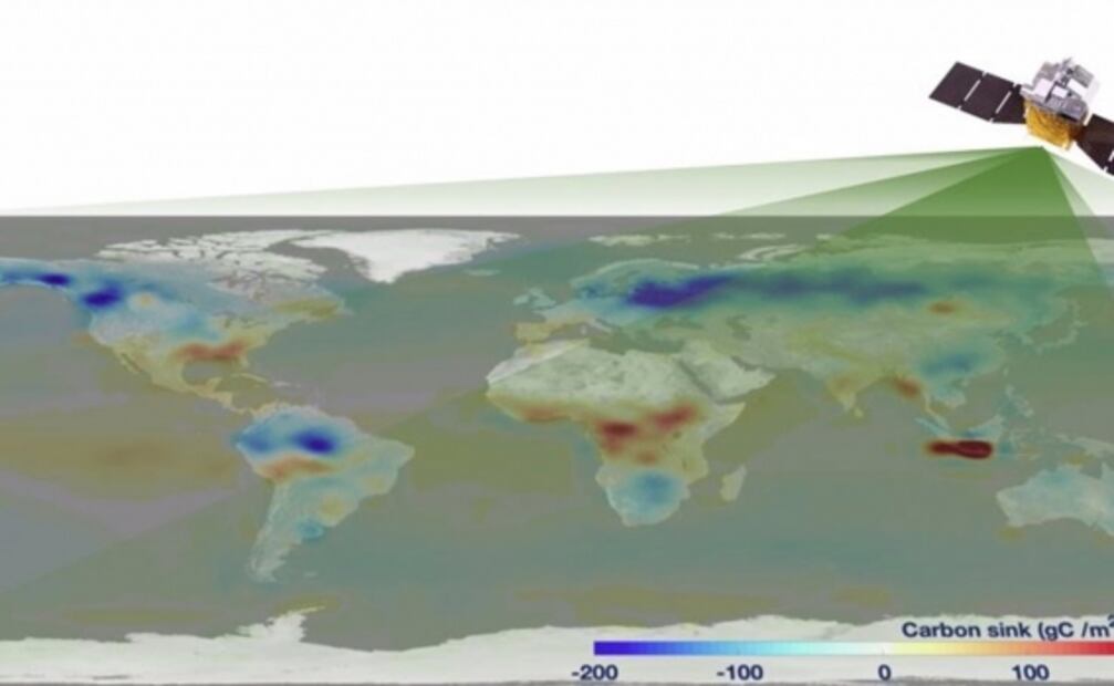 Seis gigatoneladas netas de carbono se emiten sobre tierra cada año