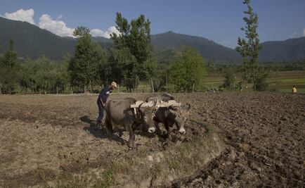 India impondrá aranceles a productos de EU en represalia: comunicado