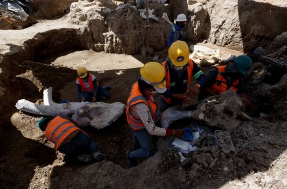 Así será el Museo del Mamut en el Aeropuerto Internacional Felipe Ángeles