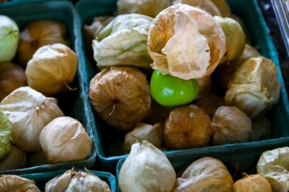 Beneficios del tomate verde. Foto: Archivo / EL UNIVERSAL