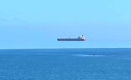 Viral: la fotografía sin truco que encanta las redes sociales