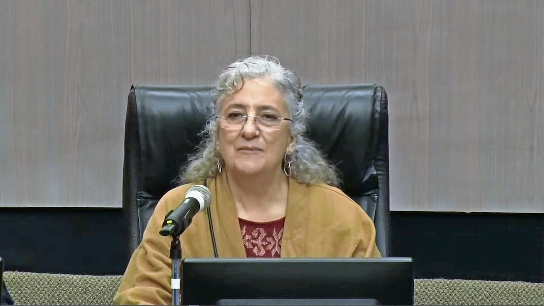Marcia Hiriart. Foto: Tomada de X