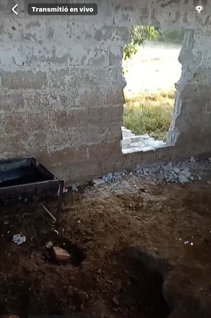 Reportan robo de burritos y caballos de "Burrolandia". Foto: Captura de video