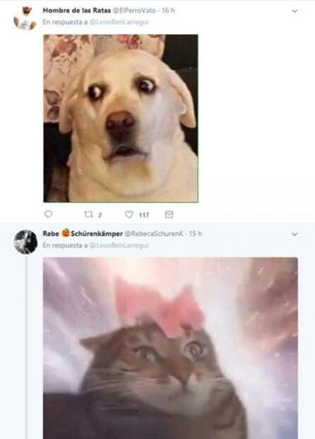 León Larregui desata burlas y memes en Twitter