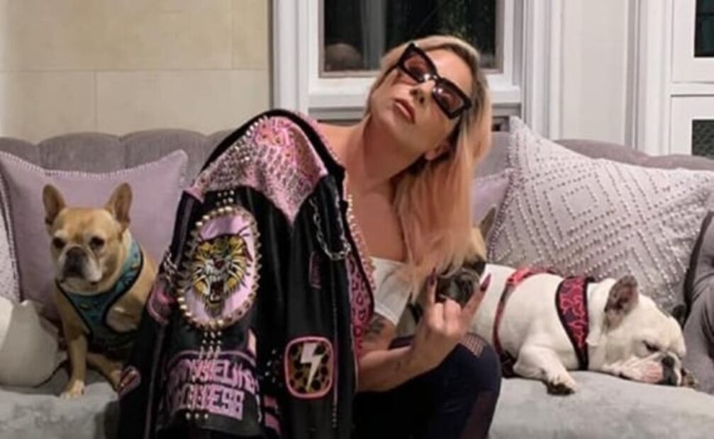 Lady Gaga es demandada por una mujer involucrada en el secuestro de sus perros; le exige 1.5mdd